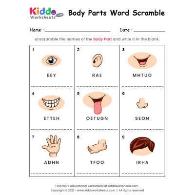 Word Scramble Body Parts