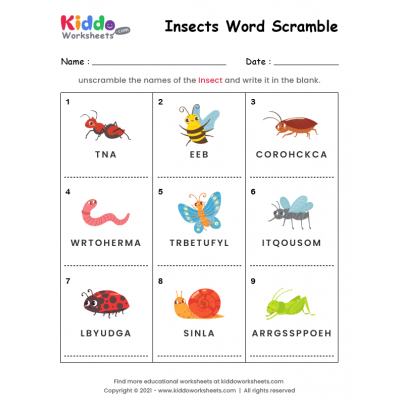 Word Scramble Insects