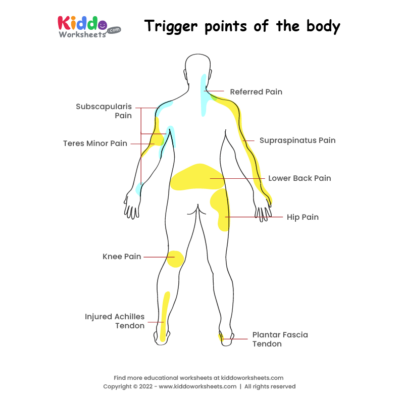 Trigger points of the body