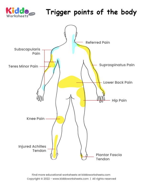 Trigger points of the body