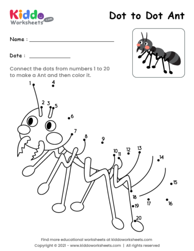 Dot to Dot Ant