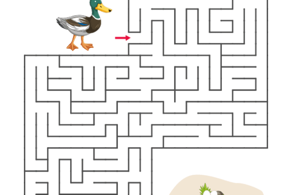 Duck Mazes