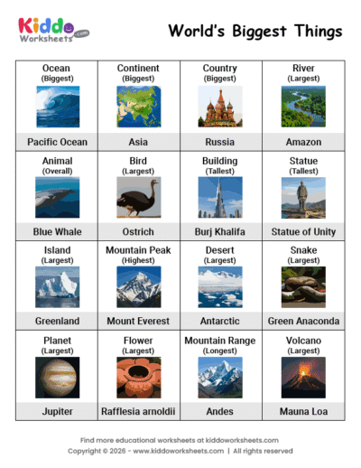 World Biggest Things