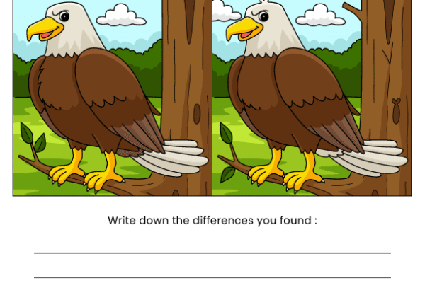 Eagle Find the Difference Worksheet