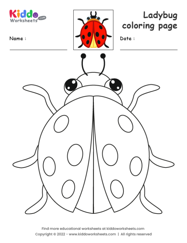 free-printable-ladybug-coloring-page-worksheet-kiddoworksheets for Free Printable Pictures Of Ladybugs Free Printable Ladybug coloring page Worksheet - kiddoworksheets for Free Printable Pictures Of Ladybugs