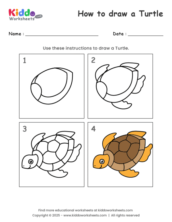 How to Draw Turtle
