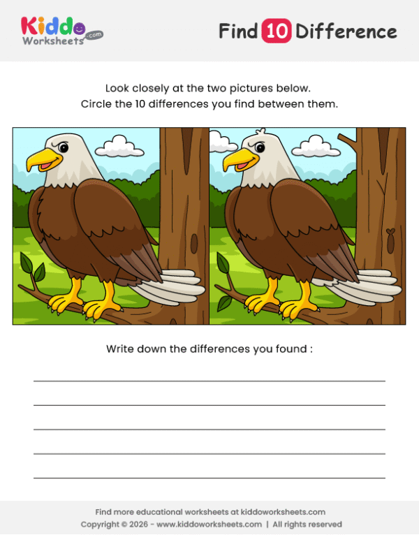 Eagle Spot the Difference