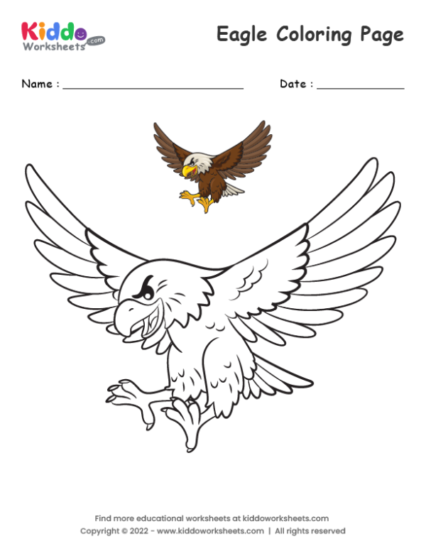Free Printable Eagle coloring page Worksheet - kiddoworksheets free-printable-eagle-coloring-page-worksheet-kiddoworksheets