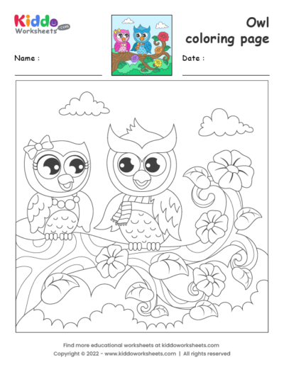 Owl coloring page