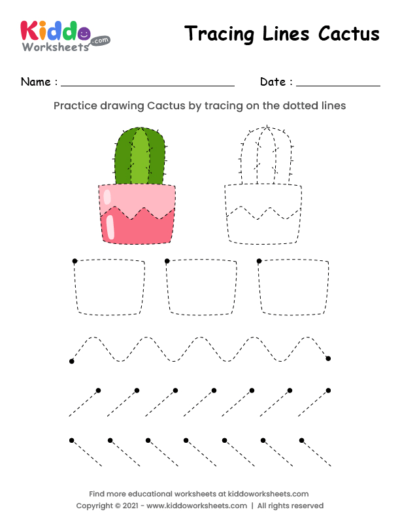 Tracing Lines Cactus