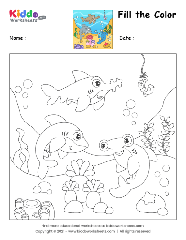 color the shark