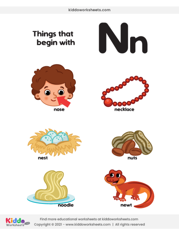 words that start with N