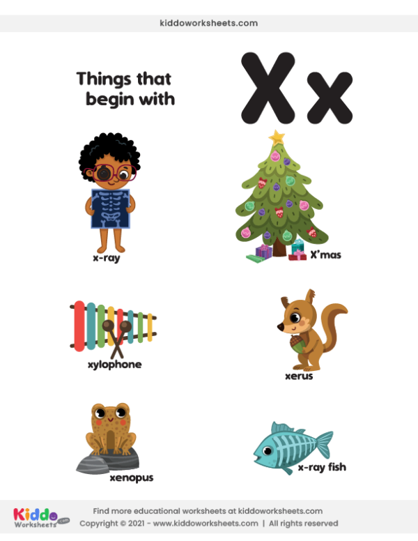 words that start with X